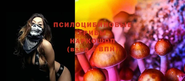прущая мука Надым