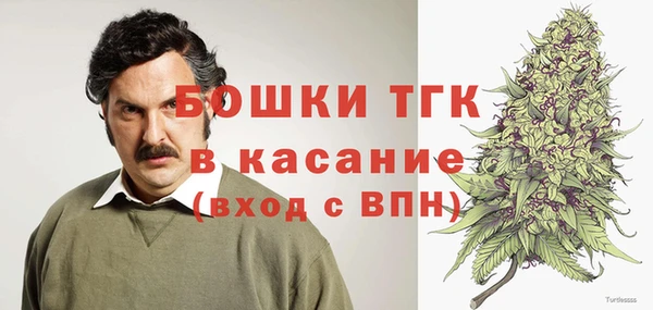 мяу мяу мука Алагир