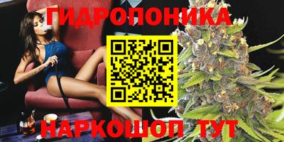 крисы Азнакаево