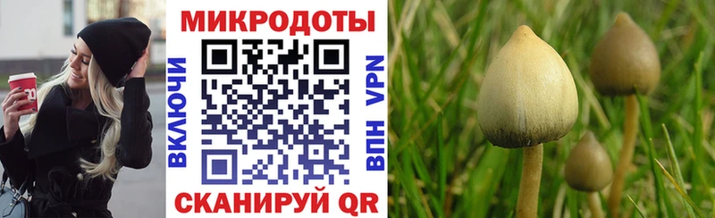 купить наркотик  площадка какой сайт  Псилоцибиновые грибы прущие грибы  Алатырь 