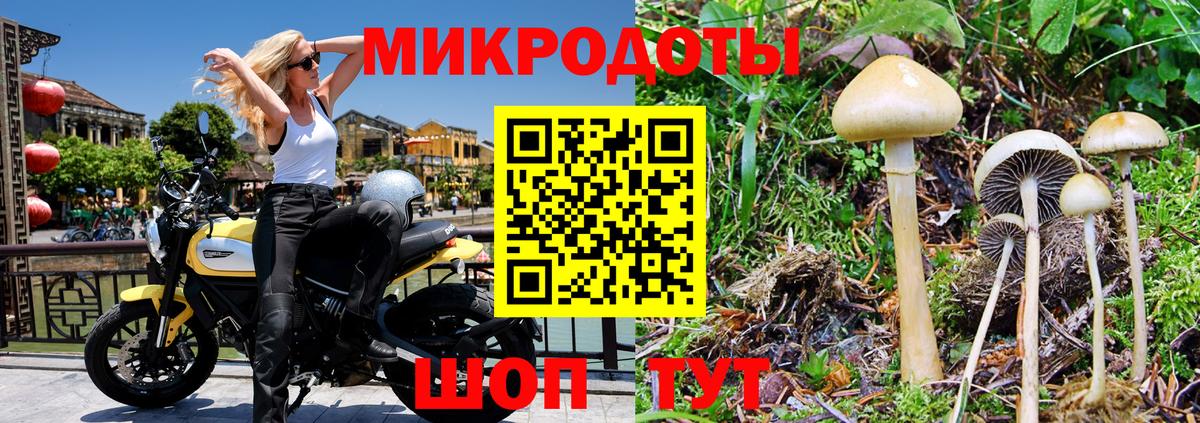 Псилоцибиновые грибы GOLDEN TEACHER  Алатырь 