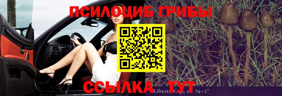 Псилоцибиновые грибы Psilocybine cubensis  Вход с VPN  сколько стоит  Алатырь 