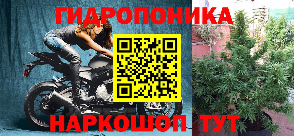 Бошки марихуана OG Kush  Вход с VPN  Марихуана тримм  Алатырь  Бошки марихуана ГИДРОПОН  Канабис MAZAR 